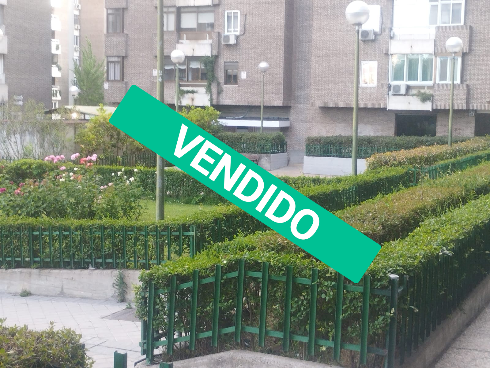 estrella_vendido2